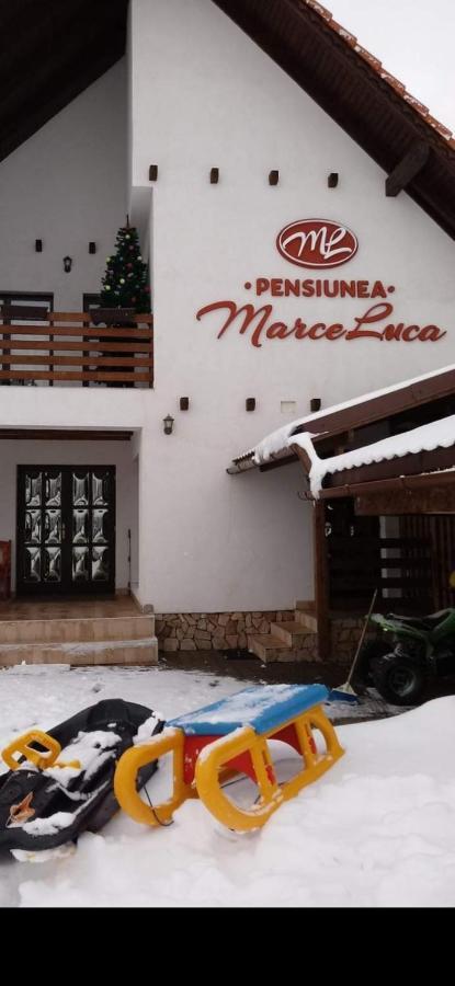 Pensiunea Marceluca Hodosa エクステリア 写真